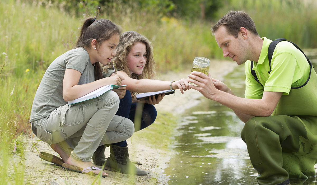 shutterstock_212447482_lr