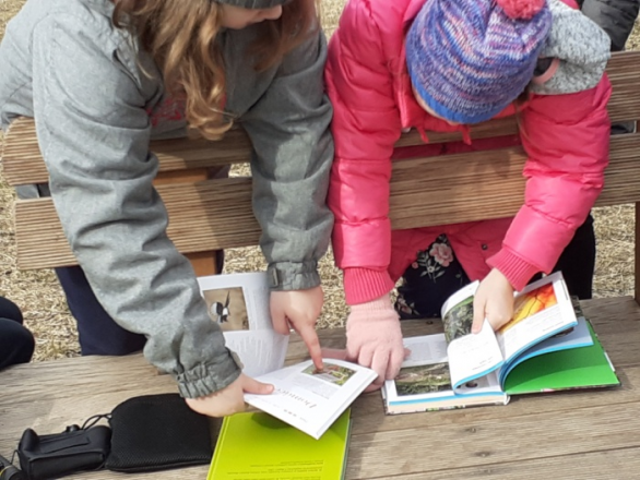 children reading bird identify books