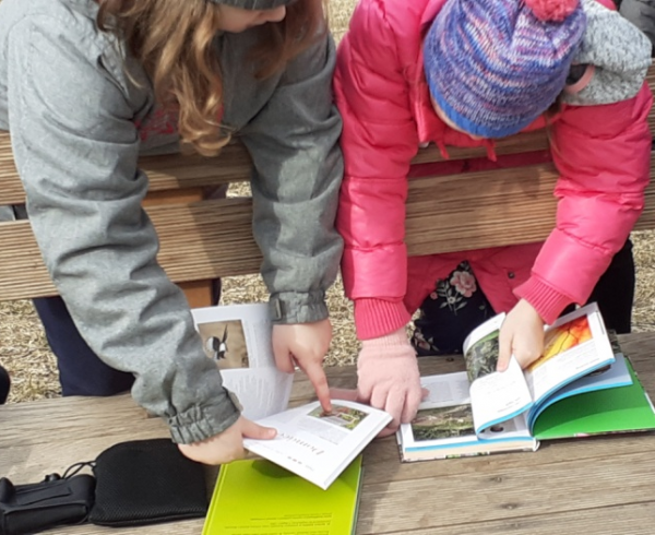 children reading bird identify books